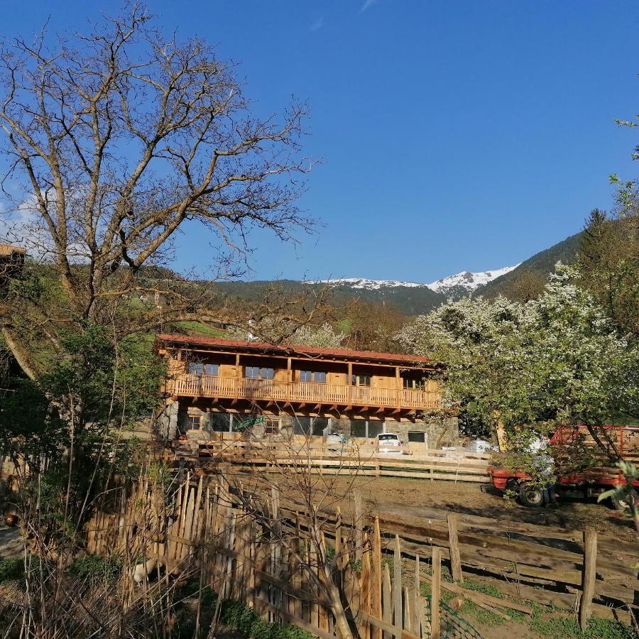 NEUE Ferienwohnungen auf dem Gebreitnerhof, Urlaub auf dem Bauernhof Brixen Exterior foto